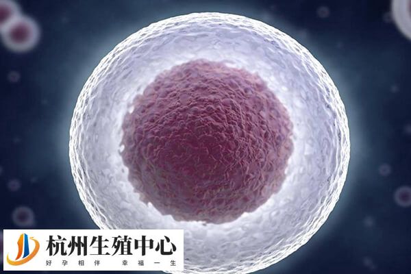 嵌合体囊胚移植后会不会修复