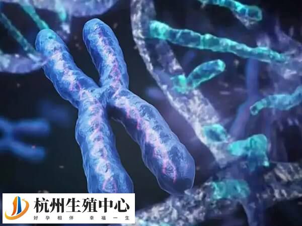 嵌合体囊胚一般是不是男孩