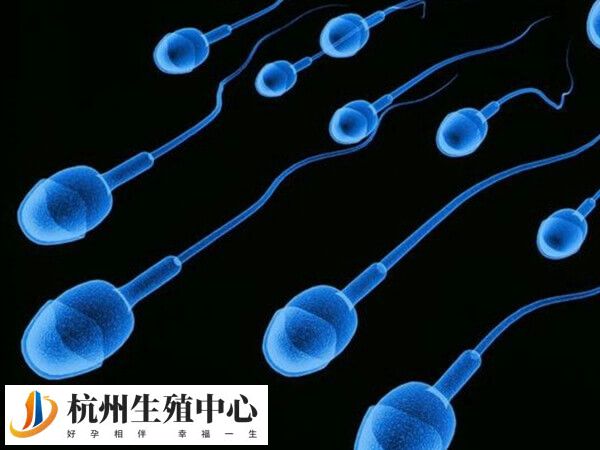 什么是附睾抽吸精子分离术