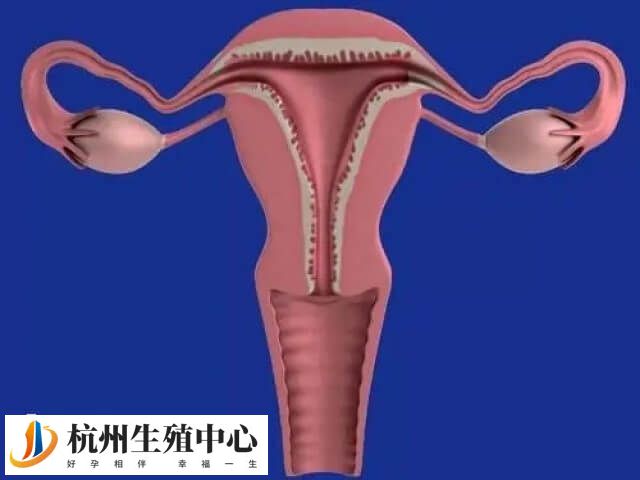 三线欠清影不影响着床
