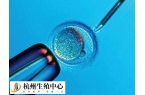 囊胚移植前雌二醇不足每天吃黑豆和500g